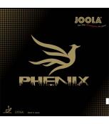 Phenix (Phoenix)