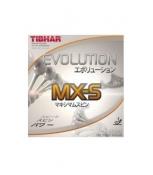 Evolution MXS