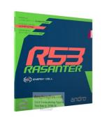 Rasanter R53