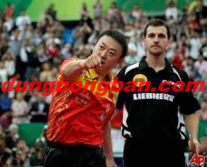 dung cu bong ban TPHCM dung cu bong ban TPHCM